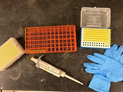 Image of gloves and bloodwork equipment on a table