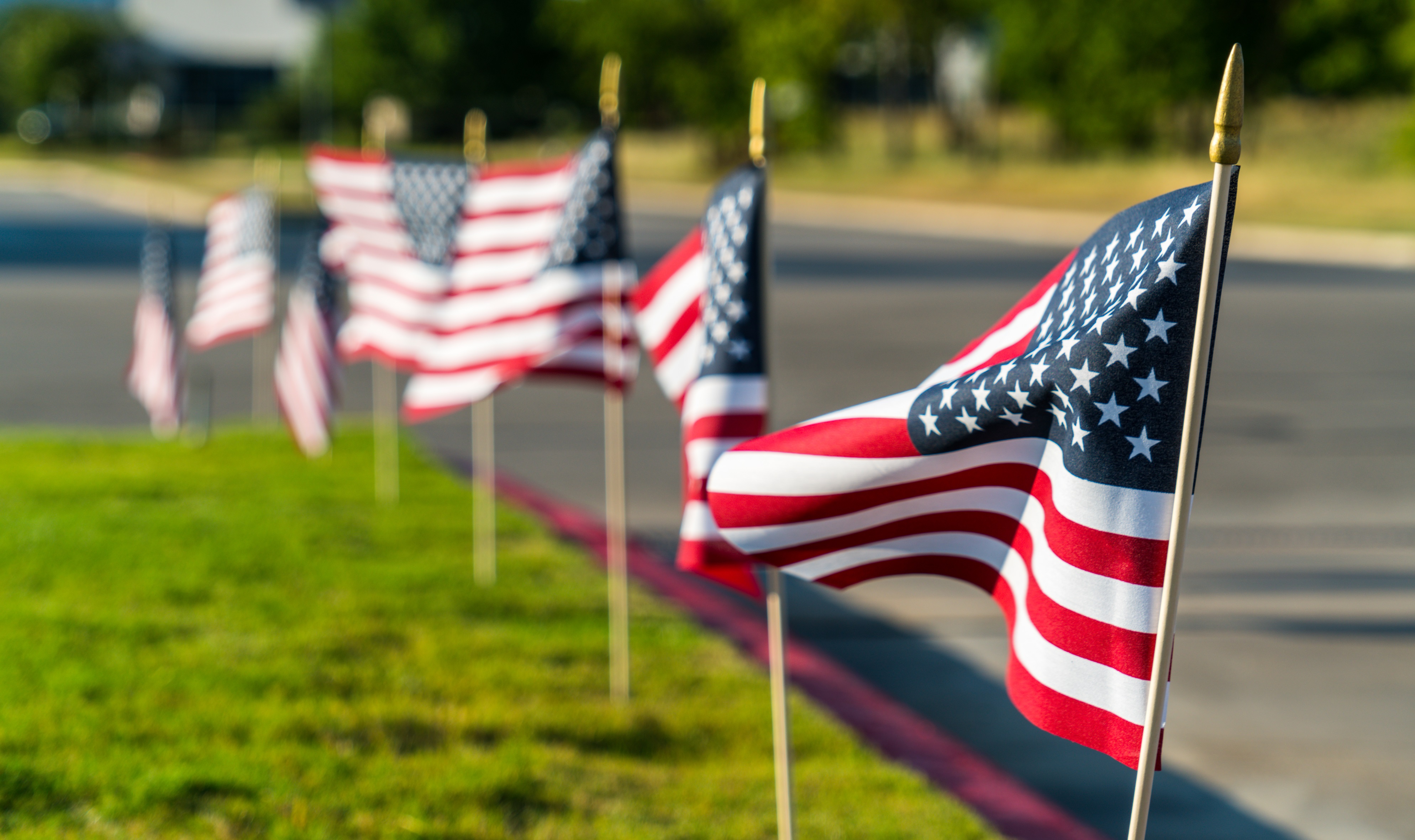 Flags along road